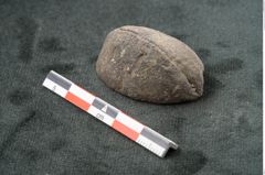 Foto (Seitenansicht) von Penteune clarkei F.V. Mueller (NHMW-GEO-2024-0188-10424)
